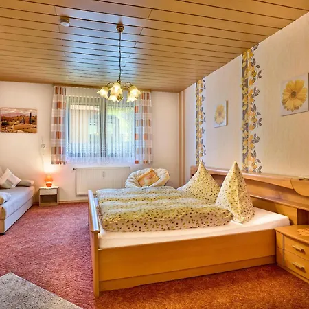 Apartament Wirth *