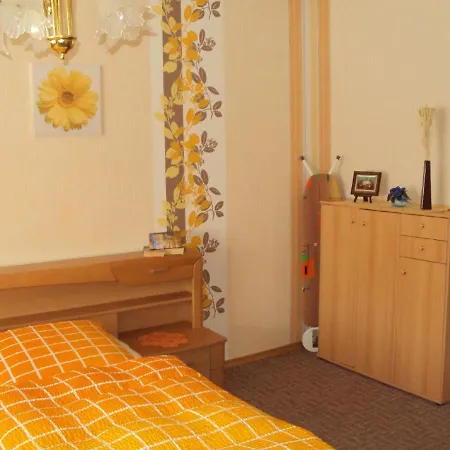 Wirth Apartment Bodenmais